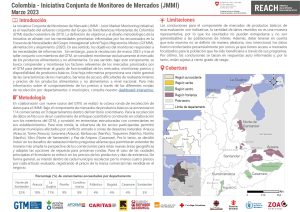 REACH Colombia Hoja Informativa JMMI (marzo 2023)