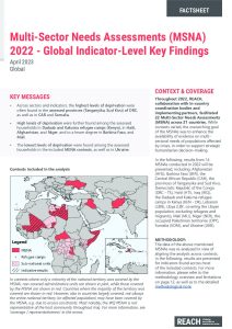 REACH Factsheet 2022 MSNA descriptive indicator-level cross-crisis analysis (March 2023)