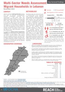 REACH MSNA 2022, Migrant Households in Lebanon Factsheet