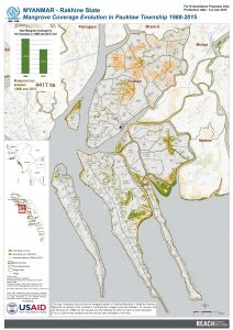 Mangrove Coverage Evolution in Pauktaw Township 1988-2015