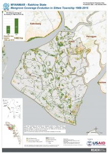 Mangrove Coverage Evolution in Sittwe Township 1988-2015